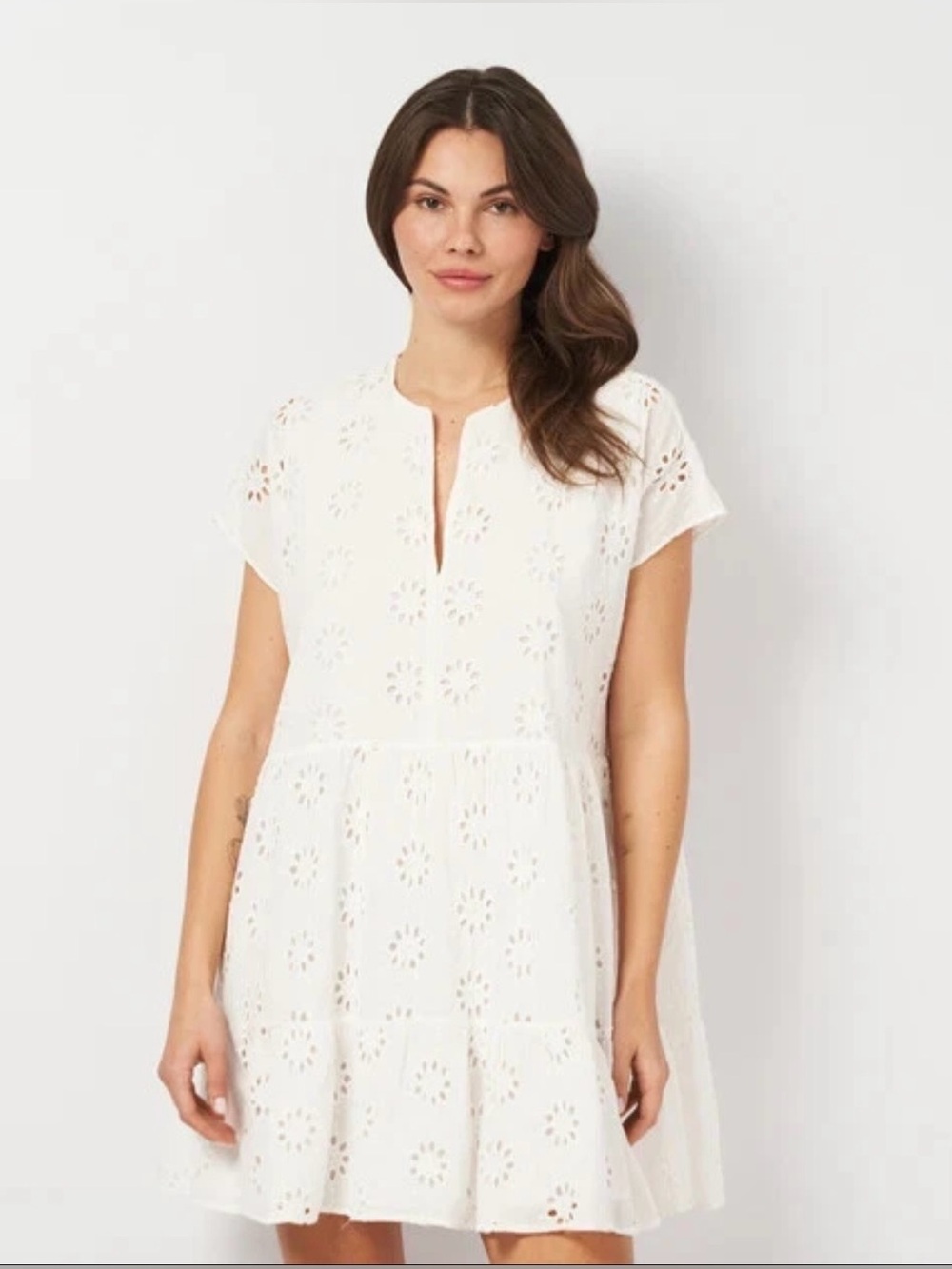 Zara Openwork Embroidered Dress